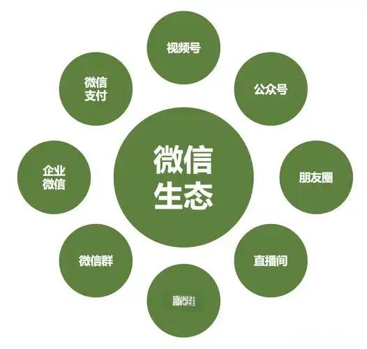 2025 微信推广运营破局秘籍：5 大思路带你弯道超车-苏小兵商学院