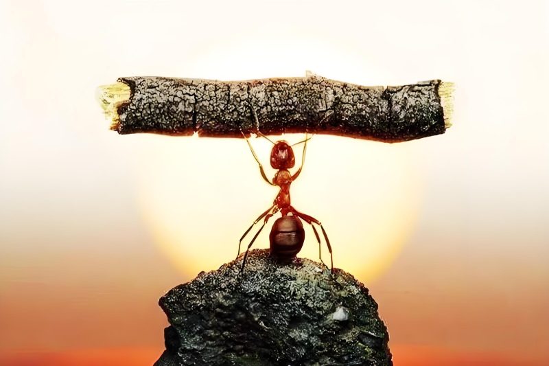 苏小兵：你不是没天赋，只是没找到那个对的方向！-苏小兵商学院