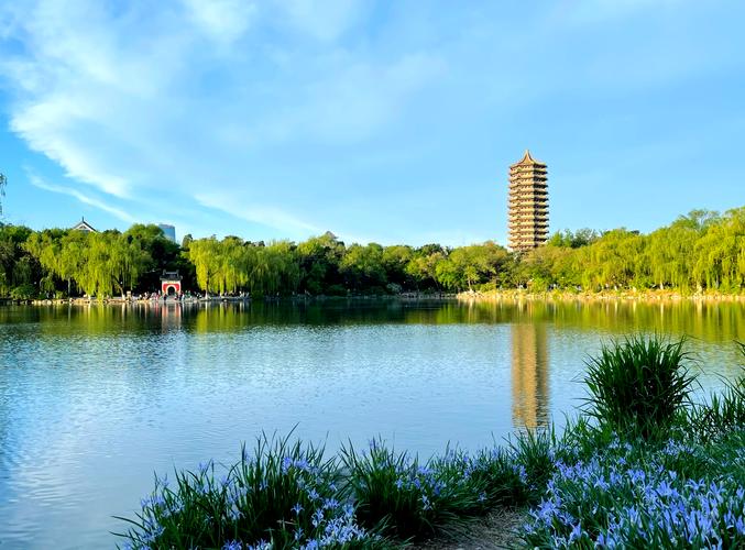 苏小兵：北大研究说“男性多一个孩子死亡风险降4%”，那我这个俩娃爸爸，能多活8%吗？-苏小兵商学院