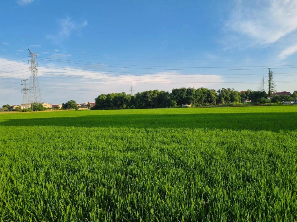 苏小兵：为什么越长大越难过？因为没人能替你撑了！-苏小兵商学院