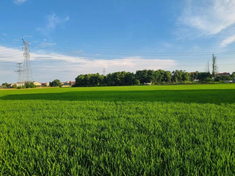 苏小兵：为什么越长大越难过？因为没人能替你撑了！-苏小兵商学院