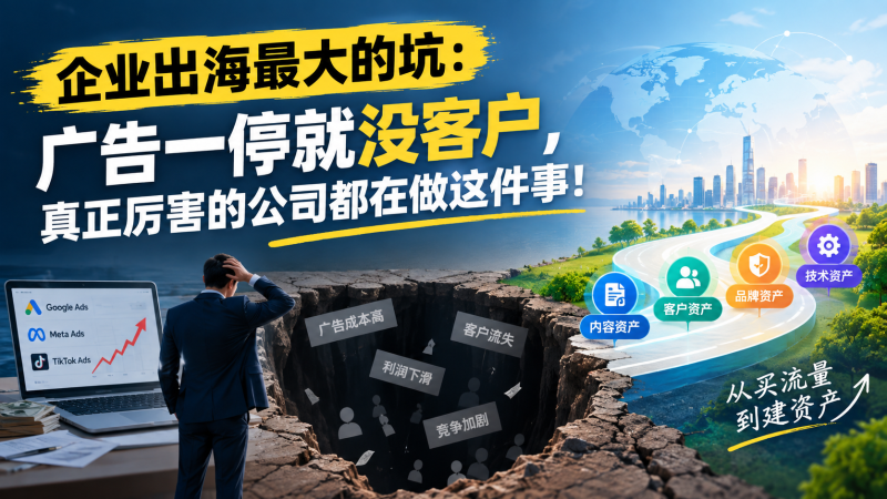 苏小兵：企业出海最大的坑，广告一停就没客户，真正厉害的公司都在做这件事！-苏小兵商学院